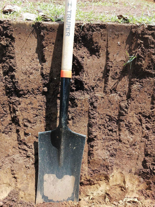 excavating tropical soil for gardens excavating tropical soil for gardens