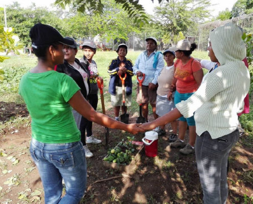 GROWING TEACHERS IN A GARDEN