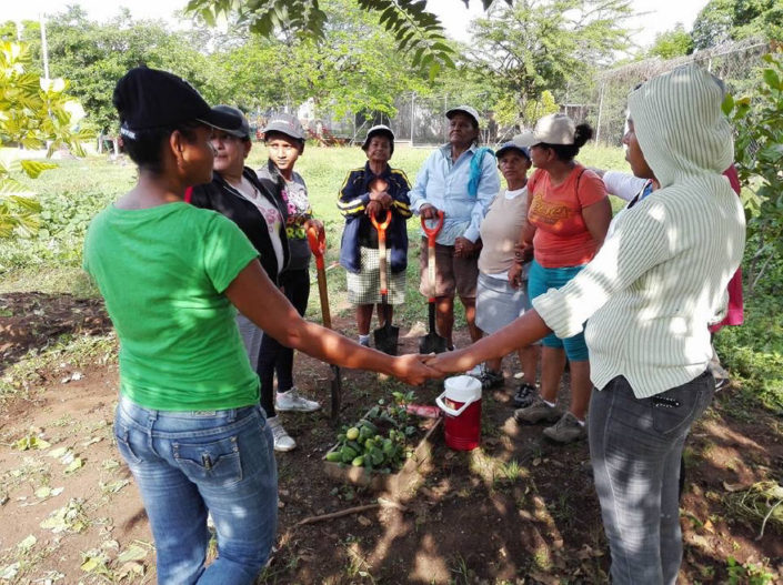 growing-teachers GROWING TEACHERS IN A GARDEN